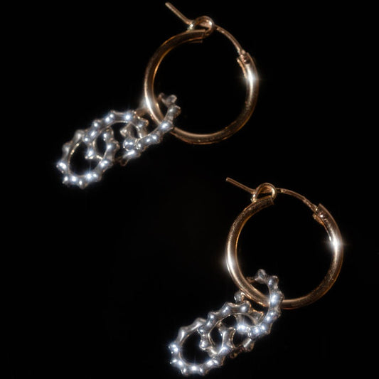 2-TONE EARRINGS